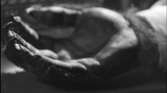 Photo from the movie Beauty and the Beast