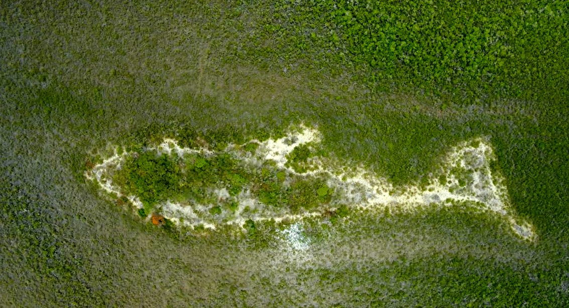 Photo from the movie Ancient Apocalypse