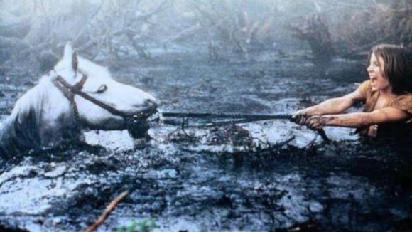 Photo du film L'histoire sans fin