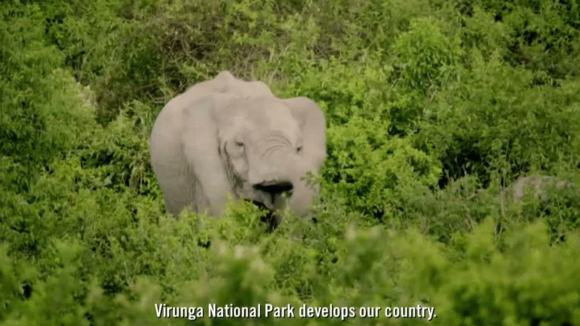 Photo du film Virunga