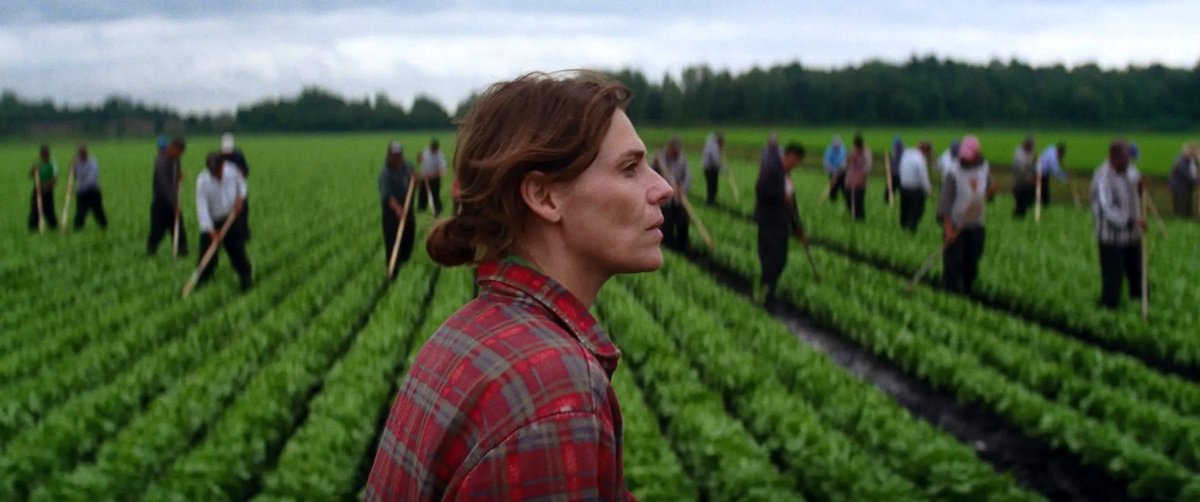 Photo from the movie Les oiseaux ivres