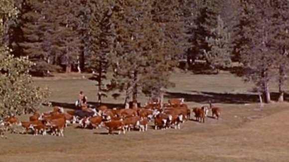 Photo from the movie Bonanza