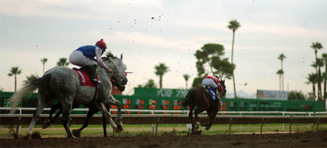 Photo du film Jockey