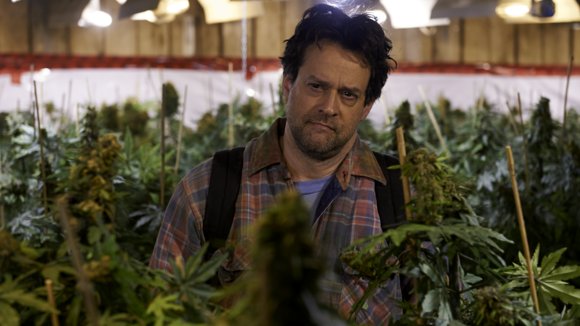 Photo du film Les Mauvaises herbes