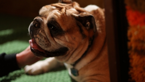 Photo du film Mickey Matson et l'ordre secret