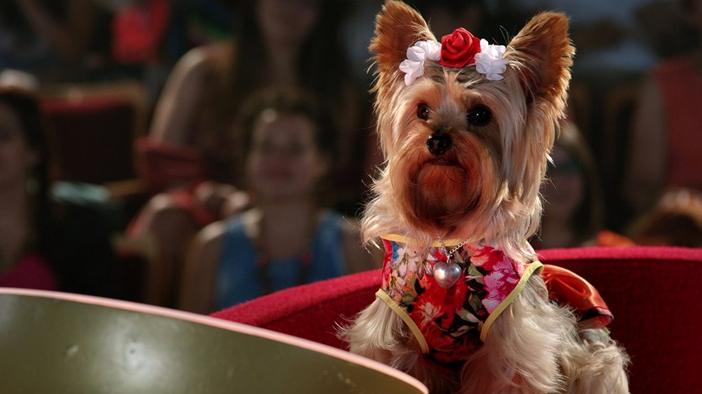 Photo from the movie Pup Star: World Tour