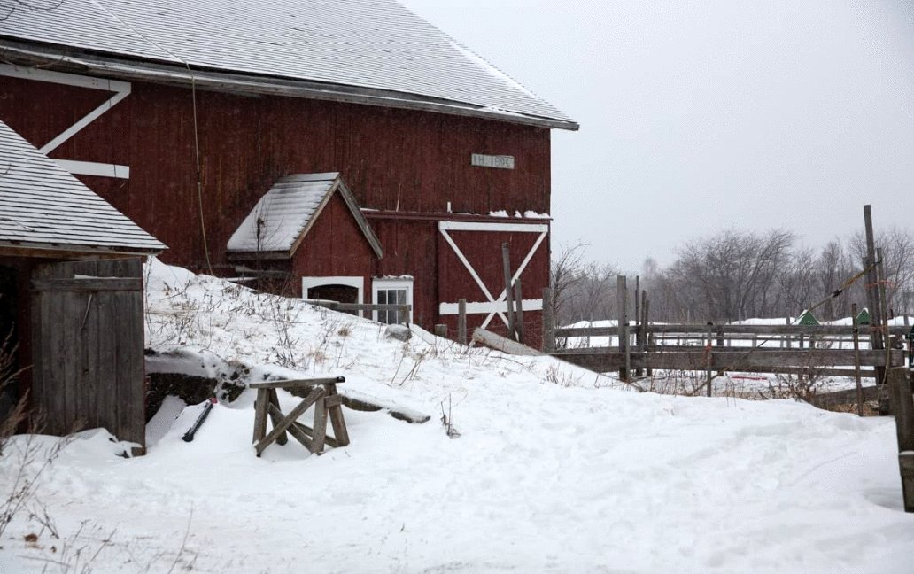 Photo from the movie The Act of Beauty