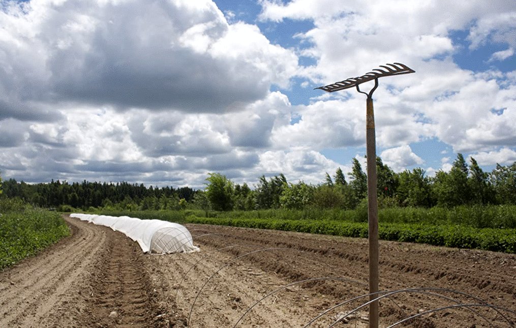 Photo from the movie The Act of Beauty