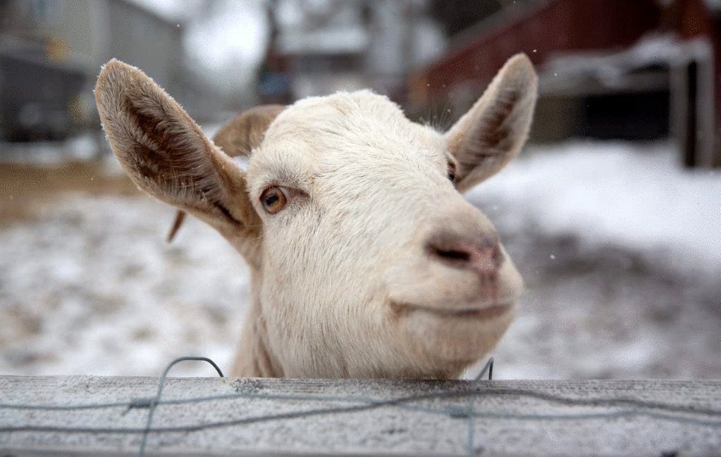 Photo from the movie The Act of Beauty