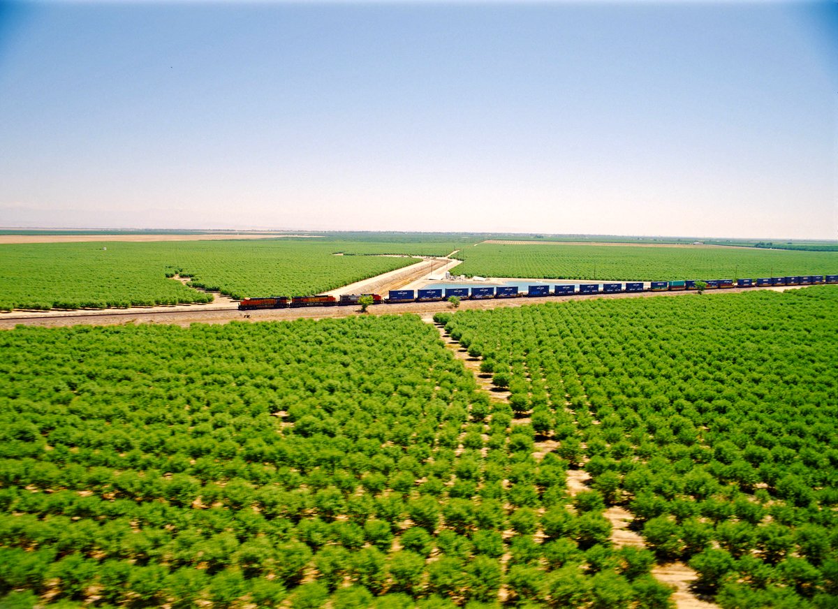 Photo from the movie Train Time