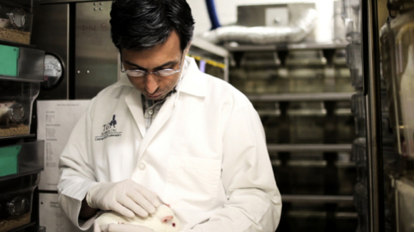 Photo du film Rubberneck