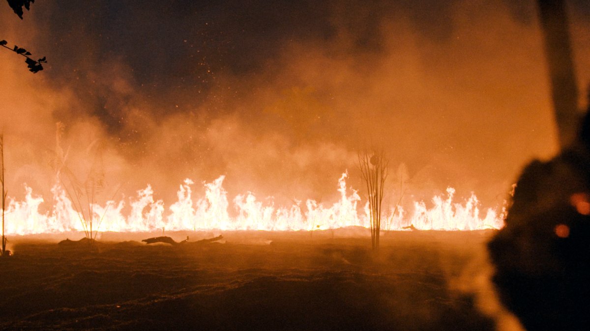 Photo from the movie The Territory