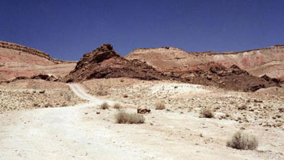 Photo du film Le Visage de la Peur