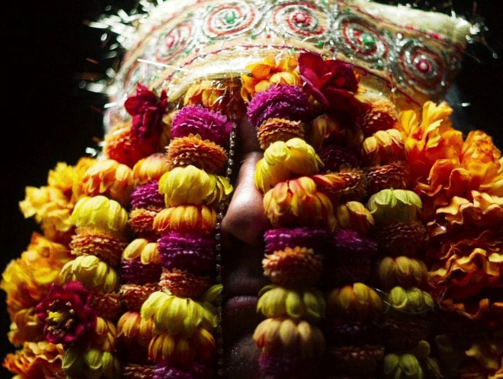 Photo du film Mogul Mowgli