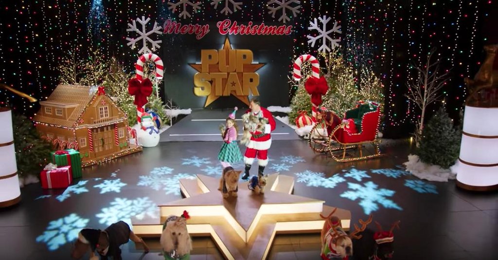 Photo du film Puppy Star Christmas