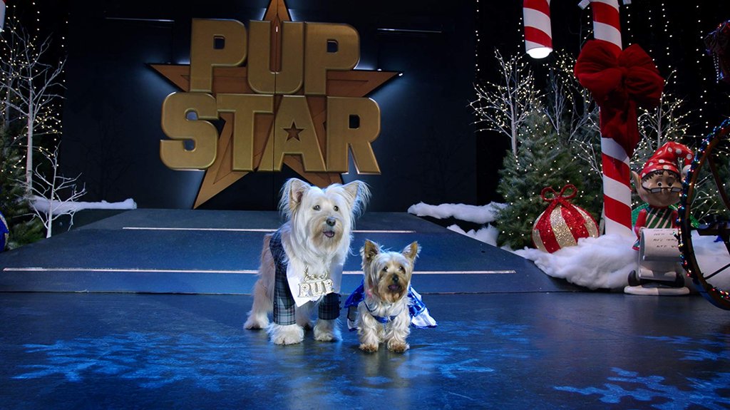 Photo du film Puppy Star Christmas