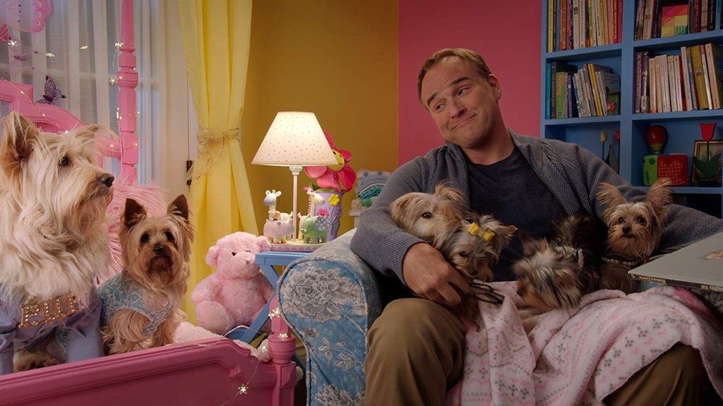 Photo du film Puppy Star Christmas