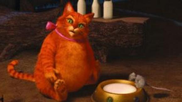 Photo du film Shrek 4: Il était une fin