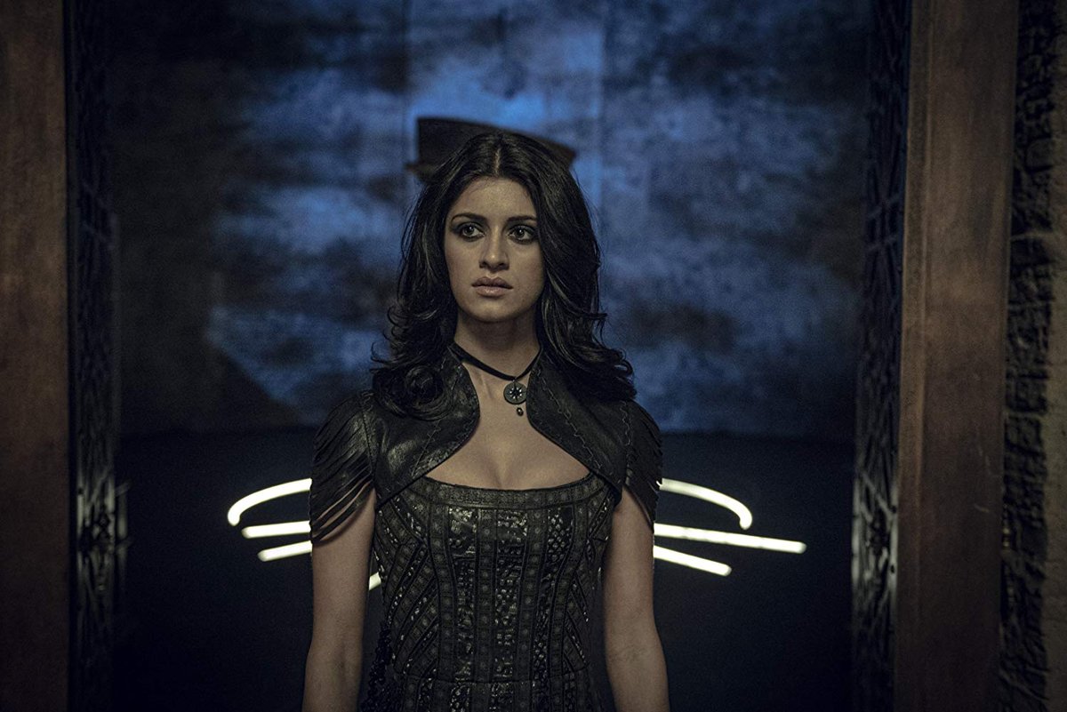 Photo du film The Witcher