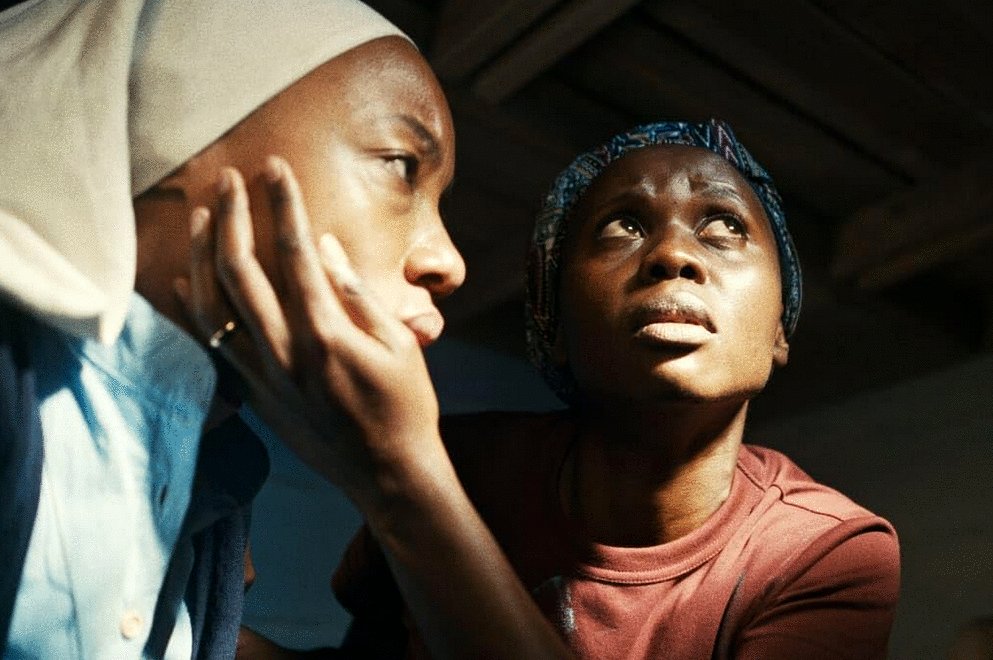 Photo from the movie Trees of Peace