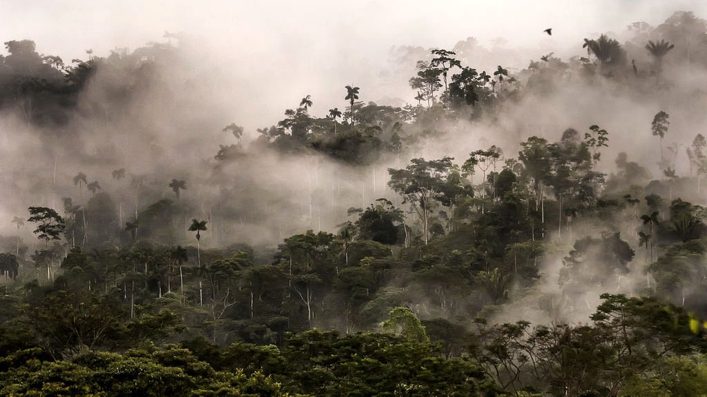 Photo du film Triple Frontier