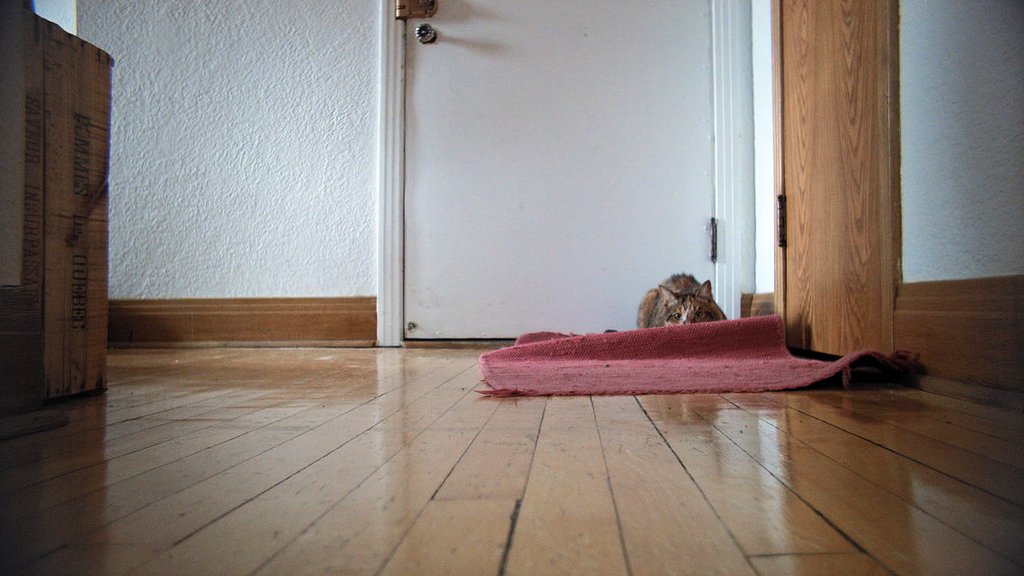 Photo du film Claire l'hiver