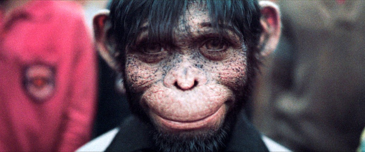 Photo du film Better Man