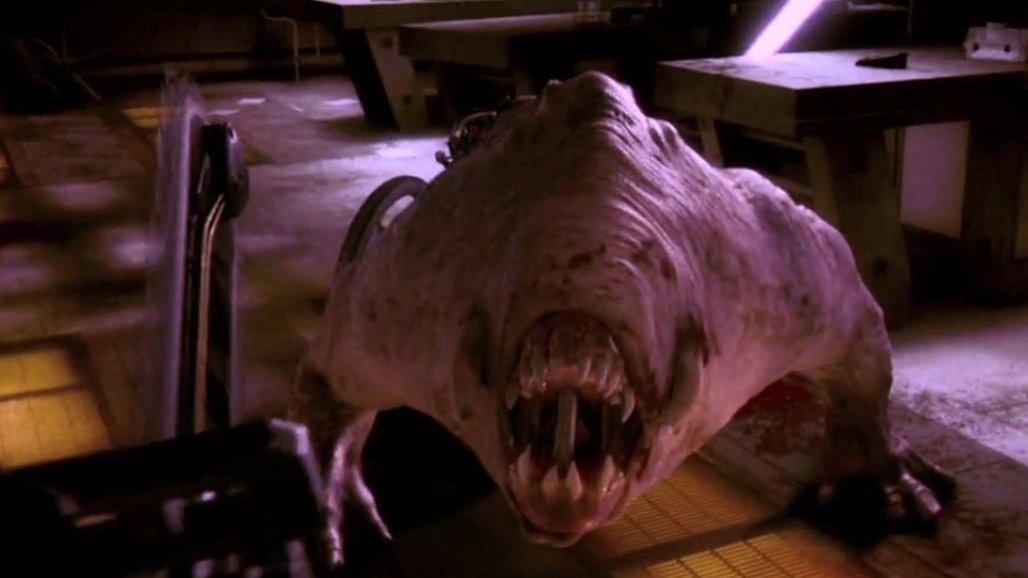 Photo du film Doom v.f.