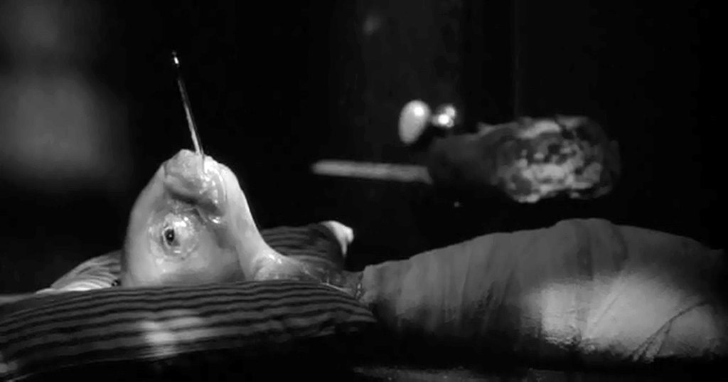 Photo from the movie Eraserhead