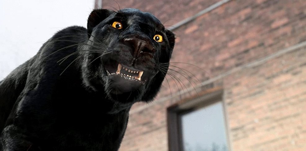 Photo from the movie Ghostwriter