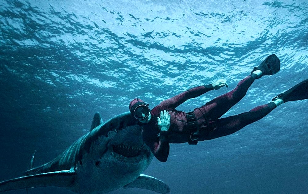 Photo du film The Last Breath