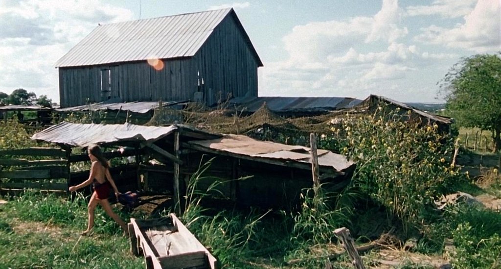 Photo du film Massacre à la tronçonneuse