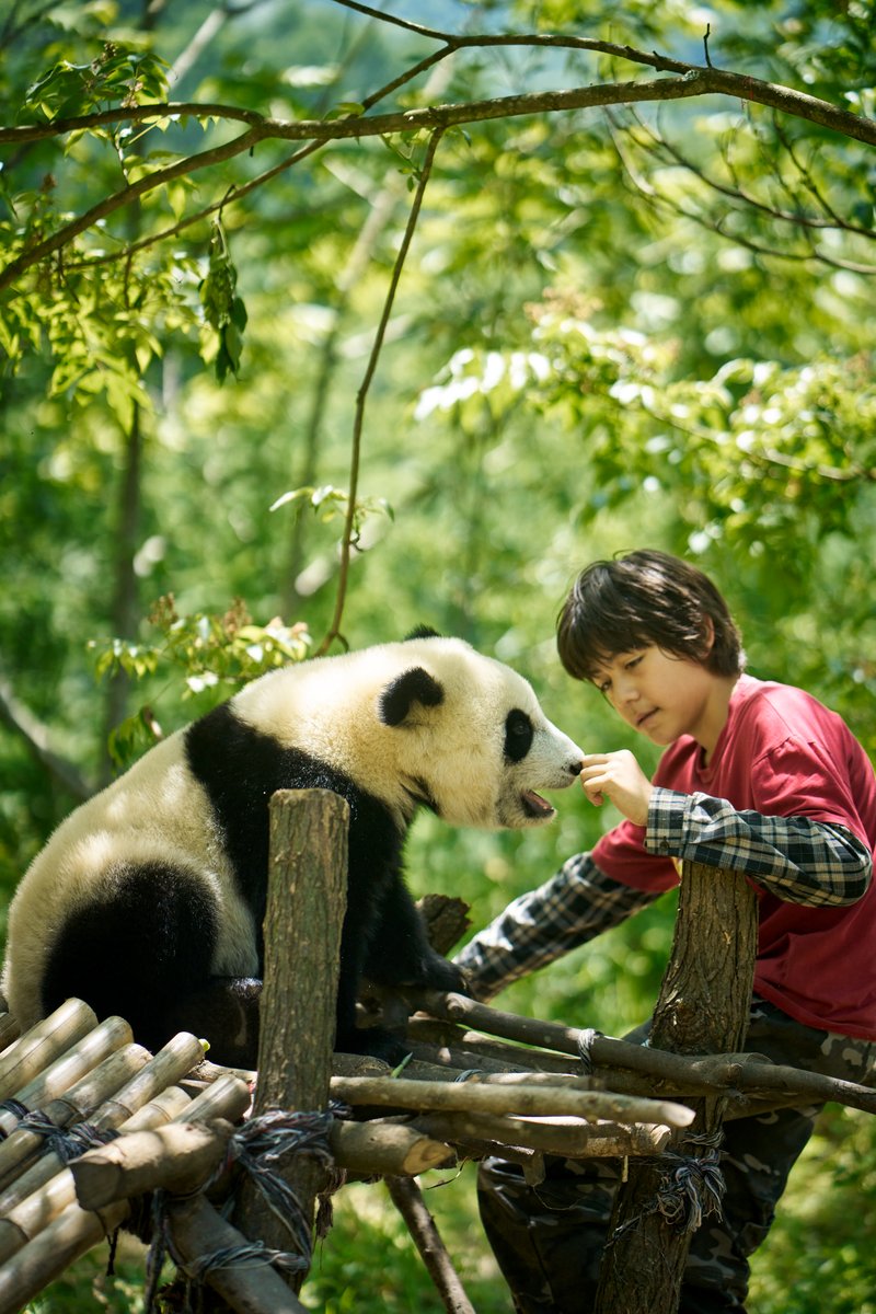 Photo from the movie Moon le Panda