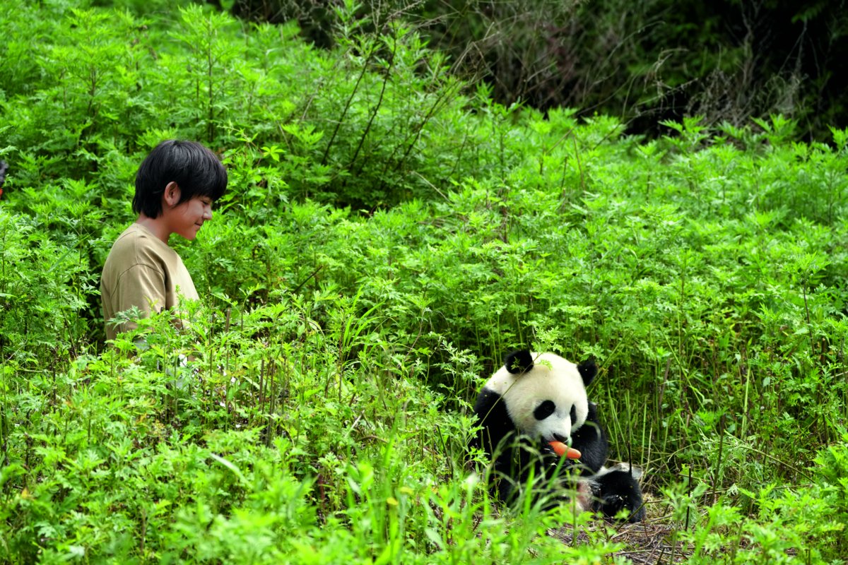 Photo from the movie Moon le Panda