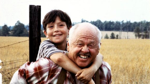 Photo du film The Black Stallion