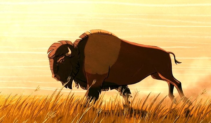 Photo du film Four Souls of Coyote