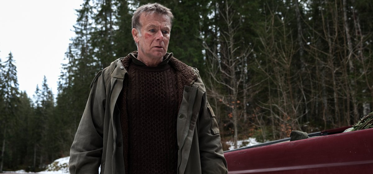 Photo du film Un ours dans le Jura