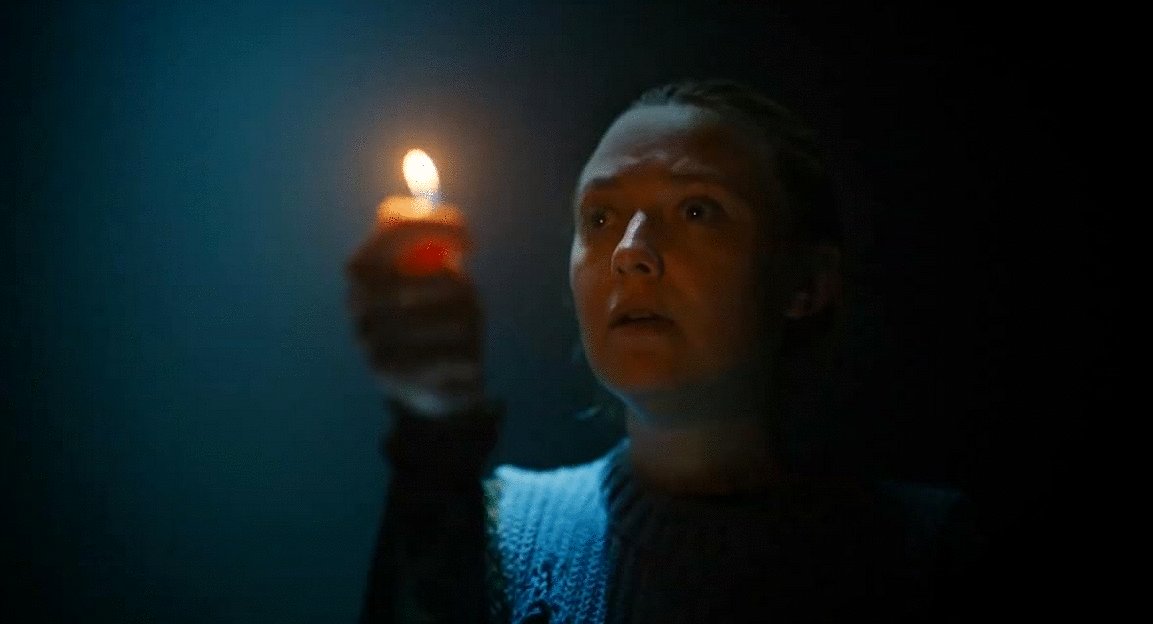 Photo du film The Watchers