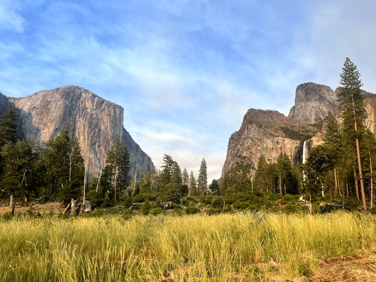 Photo du film Au pied du mur