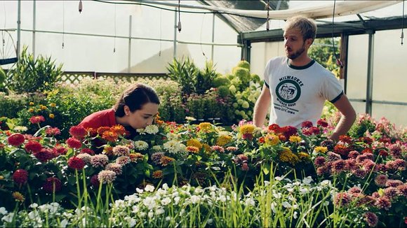 Photo du film Almosting It