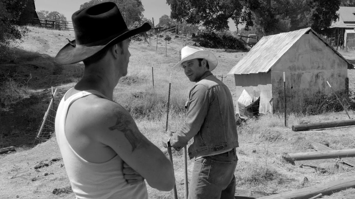 Photo du film The Divide