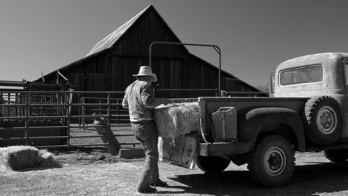 Photo du film The Divide