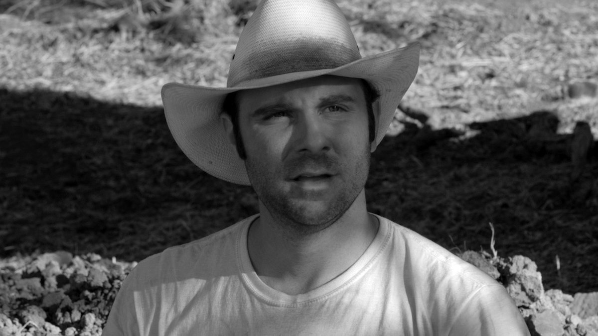 Photo du film The Divide