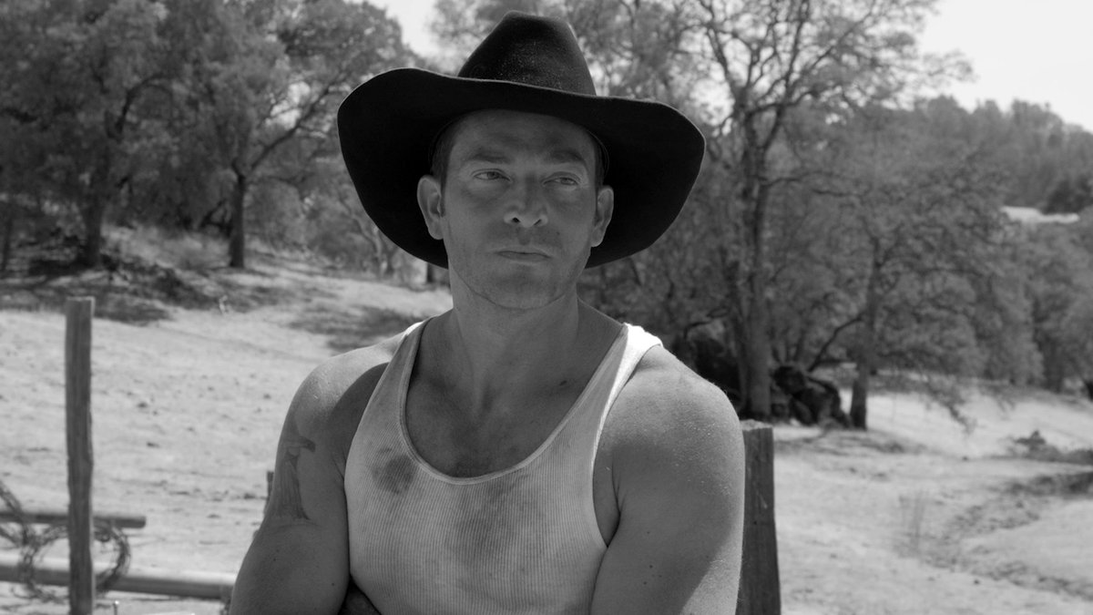 Photo du film The Divide