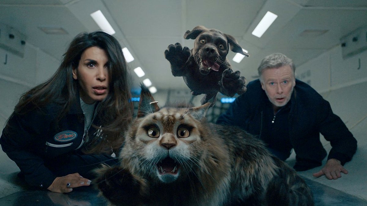 Photo from the movie Cat and Dog