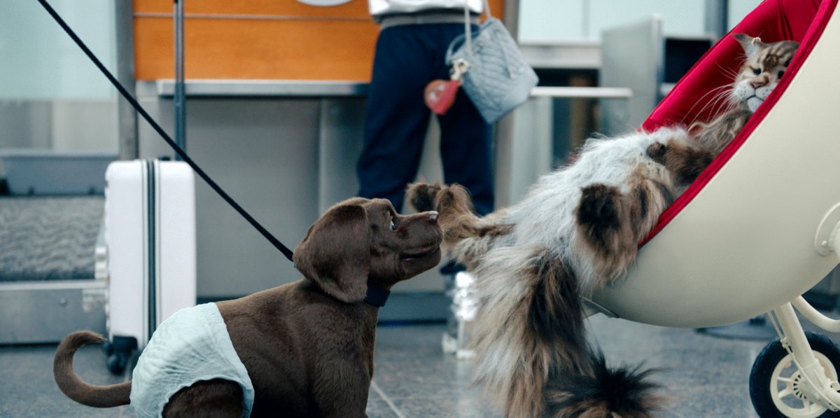 Photo from the movie Cat and Dog