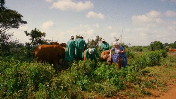 Photo from the movie Born to Be Wild