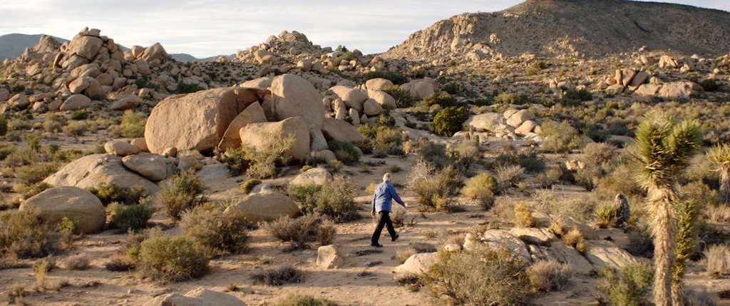 Photo du film Where Is Rocky II?