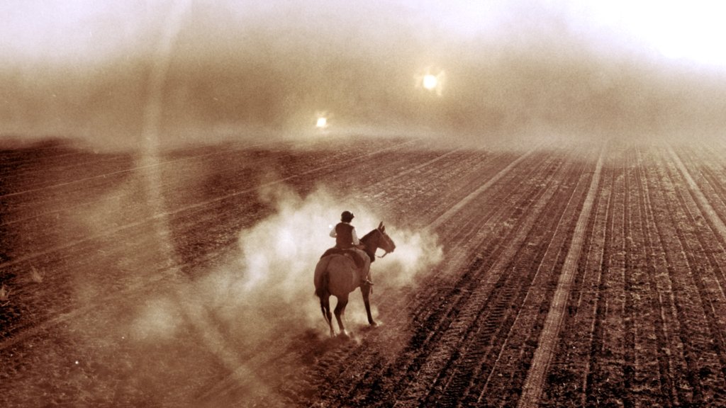 Photo from the movie Testigo de otro mundo