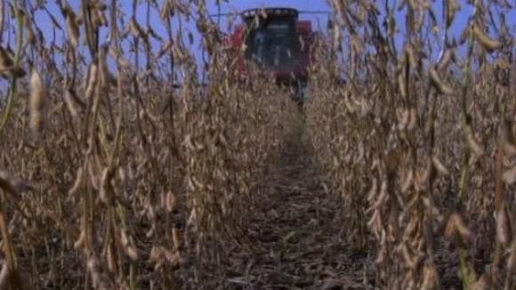 Photo du film Les Alimenteurs